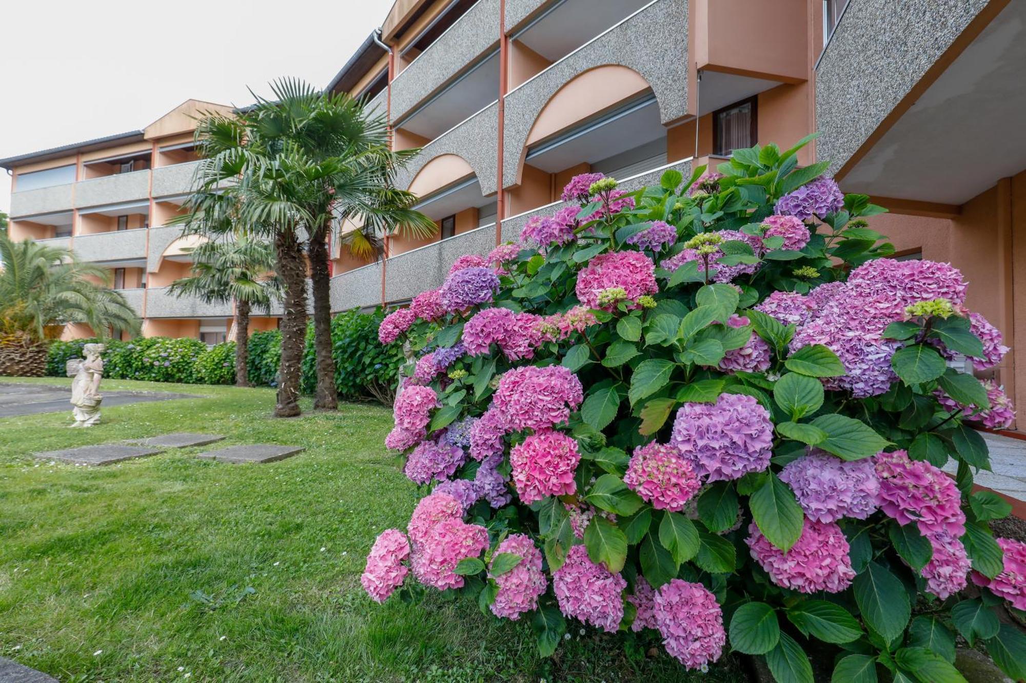 Les Terrasses De Borda*** Hotel Dax Buitenkant foto